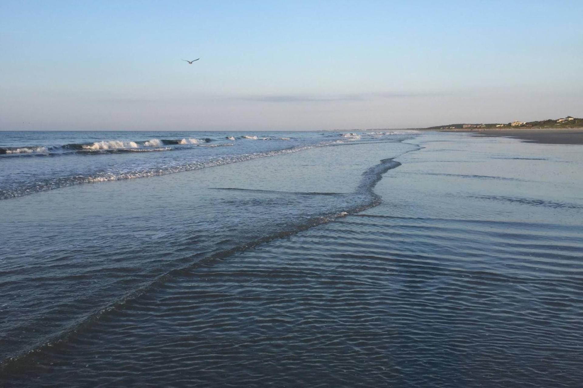 The Blue Pearl Villa Kiawah Island Eksteriør billede